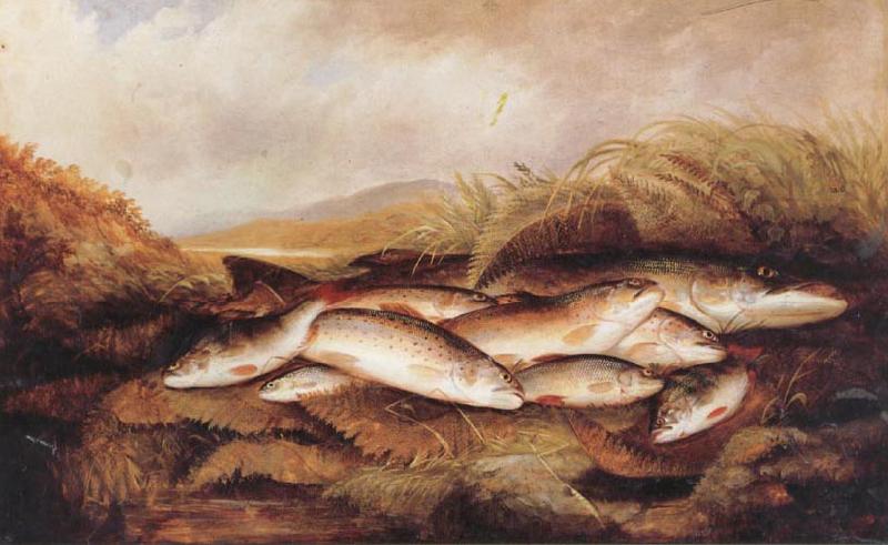 Henry Leonidas Rolfe The Day's Catch oil painting image